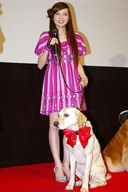 愛犬家は感涙すること間違いなし「マーリー 世界一おバカな犬が教えてくれたこと」