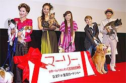 わんこ達もイベントに興奮気味「マーリー 世界一おバカな犬が教えてくれたこと」