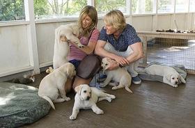 犬のおもしろ写真、求む!「マーリー 世界一おバカな犬が教えてくれたこと」