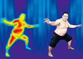 新たな土俵でも横綱に「プレデター」
