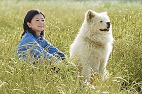 薬師丸は主題歌も担当「わさお」
