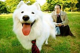 「犬飼」なのに犬が大の苦手!「犬飼さんちの犬」