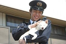 犬との相性もバッチリ「犬のおまわりさん てのひらワンコ3D」
