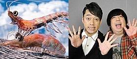 ブラピ&M・デイモンを越える掛け合いを見せることができるか?「ハッピー フィート」