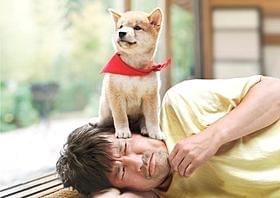 離れてしまった一郎を取り戻すことができるのか?「マメシバ一郎3D」