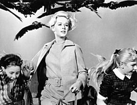 リメイクも予定されているヒッチコック「鳥」「魔人ドラキュラ」