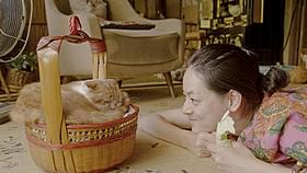 「レンタネコ」主演の市川実日子「レンタネコ」