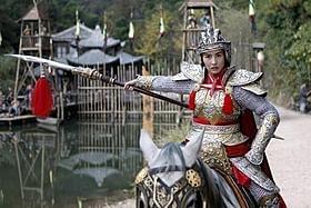 セシリア・チャン演じる怒りに燃える未亡人「女ドラゴンと怒りの未亡人軍団」