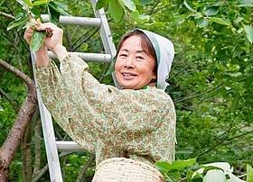 原由子が主題歌を書き下ろし!「人生、いろどり」