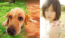 まさおくんと主題歌を担当する前田敦子「LOVE まさお君が行く!」