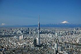 東京スカイツリーはいかにして完成したのか?「劇場版 東京スカイツリー 世界一のひみつ」