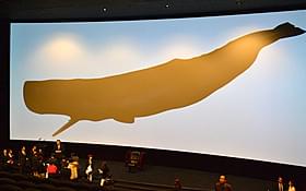 マッコウクジラ1頭がすっぽり入るという 都内初の独自企画巨大スクリーン「TCX」