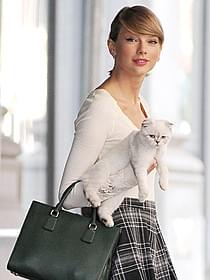 猫好きで知られるスウィフト「グレイズ・アナトミー」