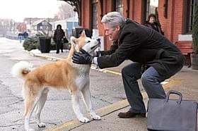 「HACHI 約束の犬」の一場面「ホワイト・ドッグ」
