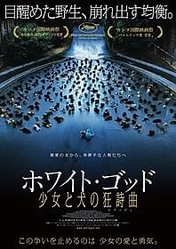 「ホワイト・ゴッド 少女と犬の狂詩曲」ビジュアル「ホワイト・ゴッド 少女と犬の狂詩曲(ラプソディ)」