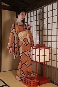 子持ちの女郎・お滝を演じる秋元才加「赤ひげ」