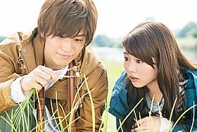 岩田剛典と高畑充希が共演する「植物図鑑」