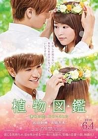 「植物図鑑」ティザーポスタービジュアル