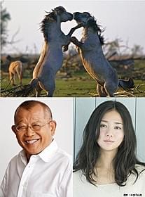 「シーズンズ」日本語版ナレーターは笑福亭鶴瓶&木村文乃「シーズンズ 2万年の地球旅行」