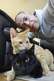 ひたすら“猫に萌える”だけの異色ドラマ!