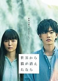 世界自然遺産イグアスの滝で 撮影されたチラシ第1弾ビジュアル「世界から猫が消えたなら」