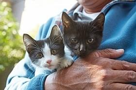 自由奔放さがたまらない!「猫なんかよんでもこない。」