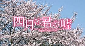 「四月は君の嘘」特報映像が完成「四月は君の嘘」