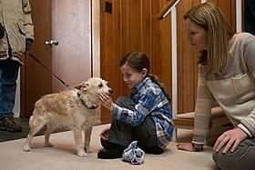 初めて触れる本物の犬に感動「ルーム」