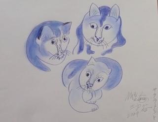 画像8
