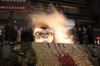 画像12
