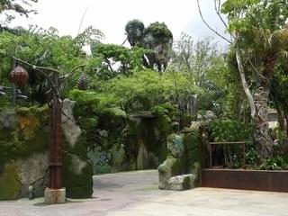 画像12