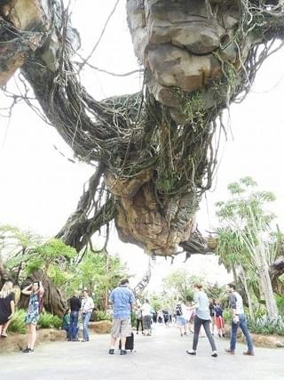 画像15
