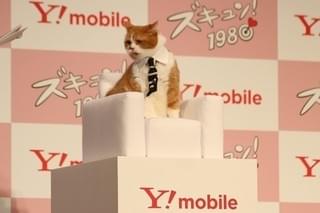 画像11