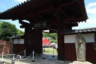 画像14
