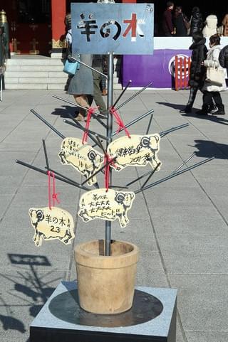 画像7