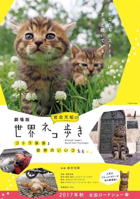 Mitsuaki Iwago's World cat's Travelogue