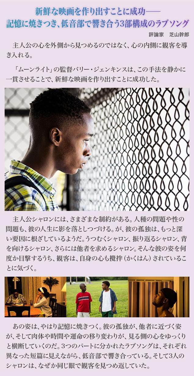 画像12