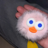 こっこ