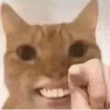 王