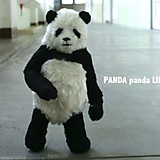 pandapann