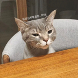 あこ