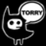 torrydesign