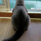 ぱるる