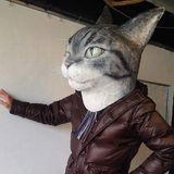 DKawa
