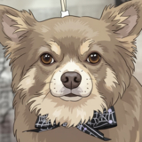 kazu