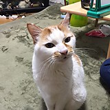 Takashi01031