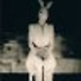 rabbit_0331