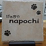 ぱぁまや napochi