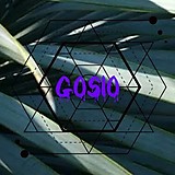 GGoSi男