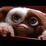 GIZmo